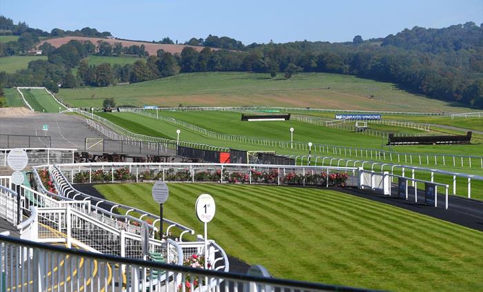 The racecourse